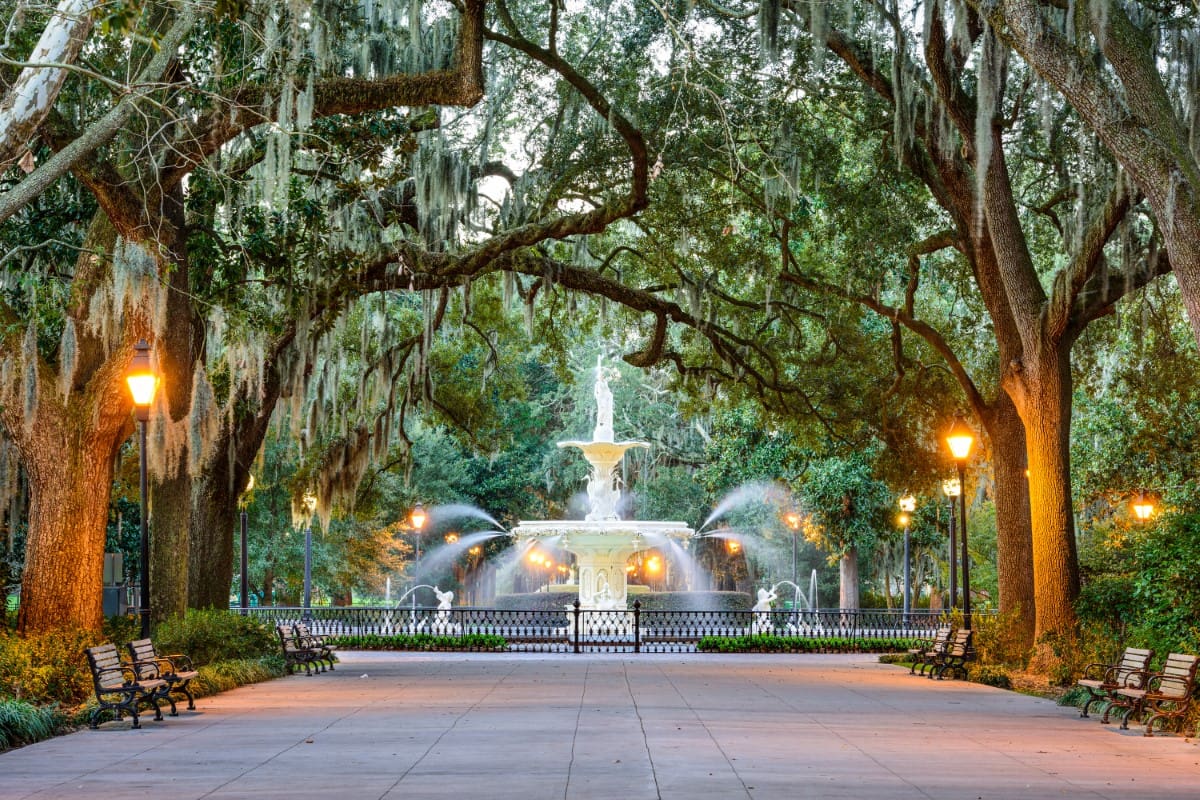 A park with benches and trees around it