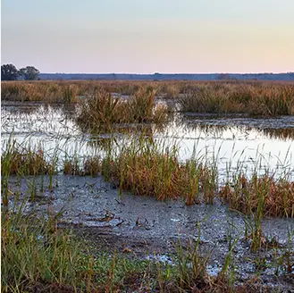 A view of some water and grass in the distance.