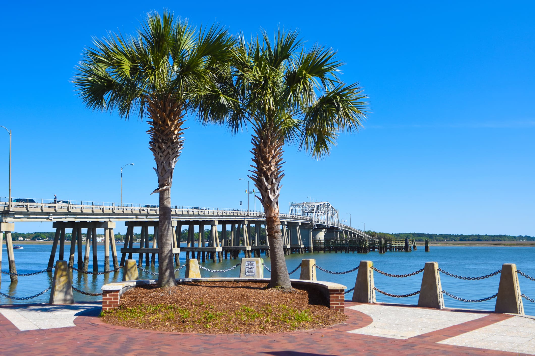 A couple of palm trees near the water.