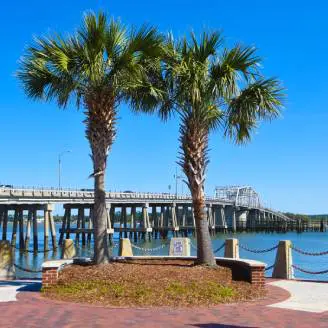 Two palm trees in front of a pier.